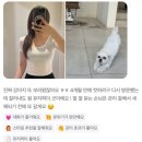 일산로635번길 네이버블로그