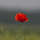 덜아픈세상 이미지