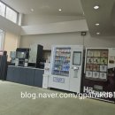 무이리 | 태기산 나인 CC 2인 노캐디 라운딩 골프패키지 후기