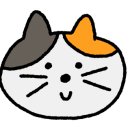 운정고양이호텔 이미지