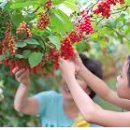 상리마을회관 앞 이미지