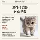 동물의료센터24인치 이미지