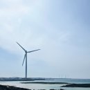 승승멸치국수 | 제주 여행 기록 #2 코난해변, 카페 레이오버, 아줄레주, 소심한책방