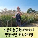 CU 관악스마일점 | 서울억새축제 첫날 하늘공원 핑크뮬리 억새 현황 맹꽁이줄