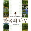 나무로지음 티스토리