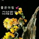 대구종합유통단지 산업용재관 이미지