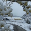 푸른흑염소농장 이미지