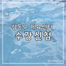 체육센터 | 성동구 수영 시작, 수강신청 방법 정리 (용답체육센터 후기 포함)