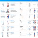바디제로 이미지