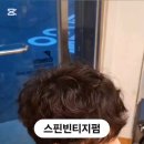 임마누엘헤어 이미지