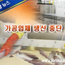 베트남, 수산물 원자재 부족 문제 심각 이미지