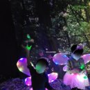 반디유치원 이미지