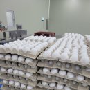 주령축산 이미지