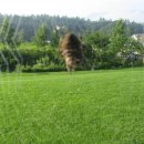 하나비펜션 이미지