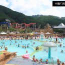 비발디파크오션월드 이미지