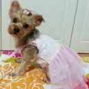 옷만들기 초급 이미지