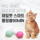 펫스마트