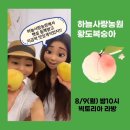 하늘사랑농원 네이버블로그