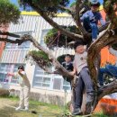 고달초등학교 이미지