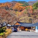 청학민박 이미지