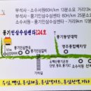 수억인삼