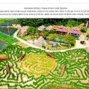 토피어리제주