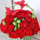 행복한날들 이미지