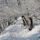 [토요근교]2013년 11월 23일 이제는 겨울눈꽃산행을 기대하며... 이른 아침 청계산 횡단산행 이미지