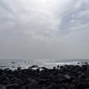 요메기섬현재식당 이미지