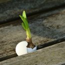 새서울한의원 이미지