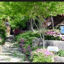 웰리힐리파크(구:성우리조트)인근 한국의 아름다운 Pension [캐빈타운] 이미지