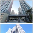 달성공원네거리 남서편 이미지