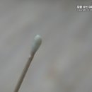 벳츠라이프 이미지