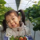 기선농장 이미지