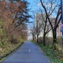 도심건강길 4길 이미지