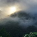 신선왕선 이미지