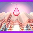 주식회사 천도 이미지