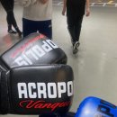 신불당ST 복싱클럽 이미지