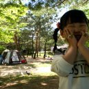 채은전력 이미지