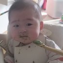 청경채 주니까 눈으로 욕하던 아기 근황 이미지