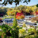 도산서원관리사무소 이미지