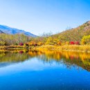 인제13-1 이미지