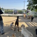 예당 앤 다울 이미지