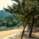 방죽포해수욕장(주차장) 이미지