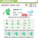 안성맞춤대로 | 파인크리크cc 크리크, 밸리코스 2025년 10월초 라운딩 후기