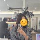 평택미용실 <아이디헤어 지제센트럴점> 중단발 레이어드 펌 후기