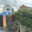 월정브리즈 | 제주 월정리 감성 숙소 추천 ‘월정 브리즈’ - 봄 🌼 객실 후기✨