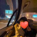 에스토리아(ASTORIA) 이미지