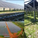 지시태양광발전소 이미지