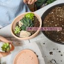 02-4 그림책 놀이지도 과정 | 프롬나드 그림책원예지도사1급 민간자격 과정. 수원 모집. 서울 경기.전국 일정 협의